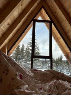 Wonderwood - cabin 1 - Žabljak - 2