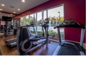 Resort in kissimme / Orlando/ Disney /Lucaya C2 - Kissimmee - 7