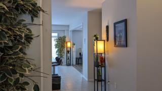 The Warm Welcome Suite - 2