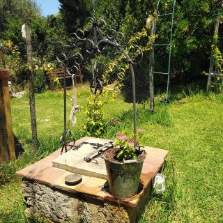il corbezzolo - Castelluzzo - 7