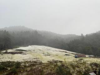 Hopkins Homestead Farm Stay Studio - Kettering - 3