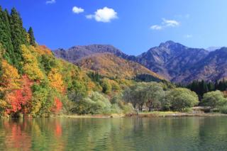 ぜーんぶ貸切!! 大自然の森に佇む秘密の隠れ家で心と身体を解放する... - Yuzawa - 9