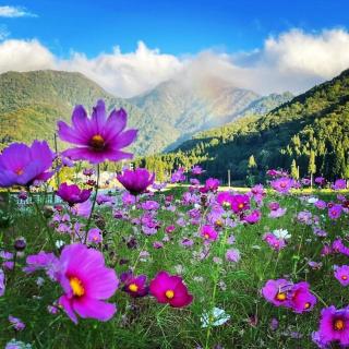 ぜーんぶ貸切!! 大自然の森に佇む秘密の隠れ家で心と身体を解放する... - Yuzawa - 5