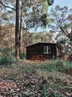 Gum Grove Chalets - Denmark - 1