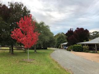 Meriba B and B - Bundanoon - 5