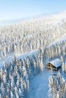 Levi Ski IN Ski OUT Premium VillaWestWind B - Levi - 9