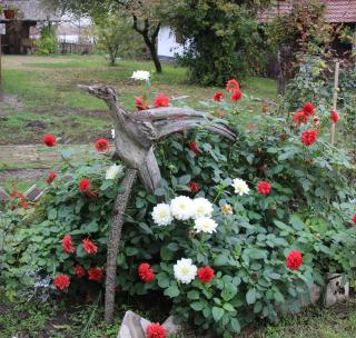 Róka - tanya - Šupljak - 1