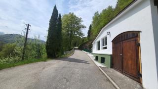 Maal Waldhaus - Todtnau - 1