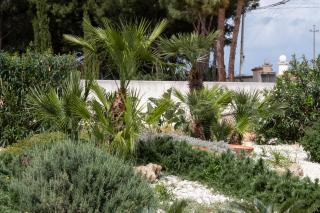 Casa Enza di fronte la Tonnara - San Vito lo Capo - 5
