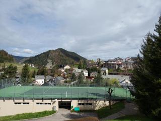 Villard je t'aime - Résidence Les Tennis - 2 Appartements 2 pièces 5 p et 6 p - Villard-de-Lans - 3