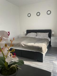 Apartament Daria Baile Felix - Baile Felix - 2