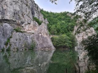 Ribarev san - Ovčar Banja - 3