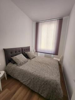 Joli T2 en plein centre-ville de Lyon - Lyon - 3