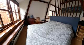 Onder de Boomen - 4
