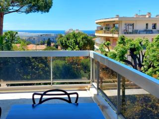 Superbe appartement climatisé proche plages, grande terrasse et parking privé - Antibes - 0