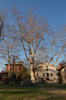 Piaggetta B&B - Quiesa - 1