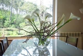 the nest ~ Your best rest - Sever do Vouga - 6