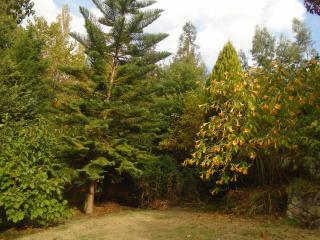 the nest ~ Your best rest - 9