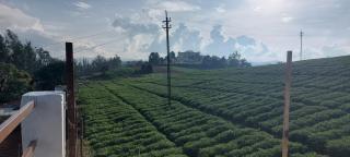 Anya Paradise - Ooty - 8