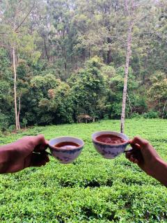 Green Wood Hotel - 1