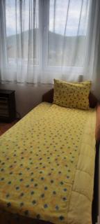 Privatni smeštaj Nanica - Mataruška Banja - 3