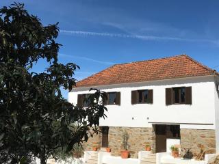 Casa Da Oliveira - Pedrógão Grande - 9