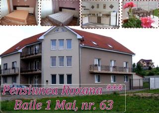 Vila Roxana - Sînmartin - 9