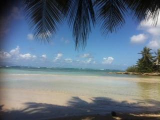 Au bord de mer - Les Basses - 6