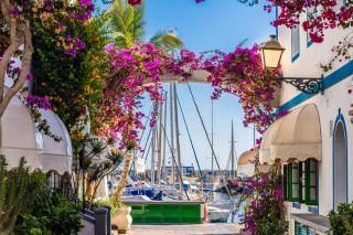 Apartment Valentina - Little Venice, Puerto de Mogan - Puerto de Mogán - 8