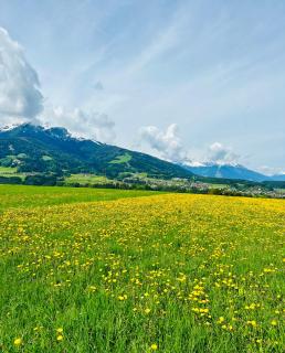 Hotel Sonnenhof - bed & breakfast & appartements - 3