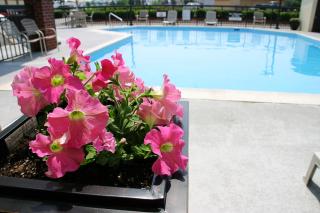 Best Western Center Inn - 1