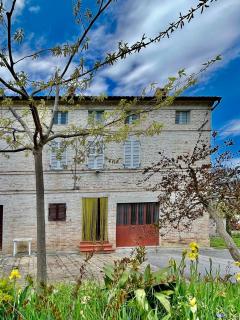 Casa Vacanze da Peppa - Grottazzolina - 8
