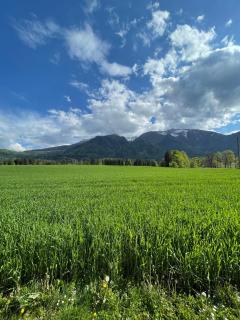 Ferienwohnung Igerc - Feistritz ob Bleiburg - 8