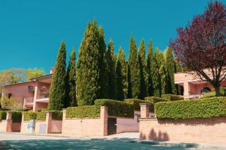 Ibisco - Assisi Living Club - Asís - 8