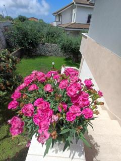 B&B villa orchidea - 3