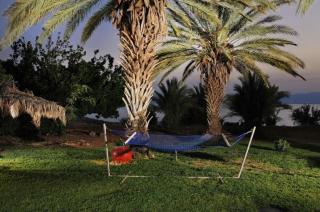 בקתה בתמרים - Moshav Ramot - 2