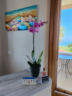 B&B villa orchidea - Ricadi - 3