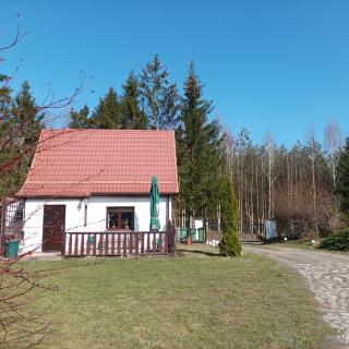 Siedlisko Pili Pili - 2