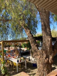 Glamping Bed and Breakfast Finca Alegria de la Vida - 1