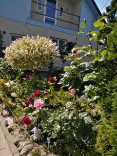 Casa Mamei - Suceava - 5