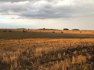 Apartment Stadtmauer - 2