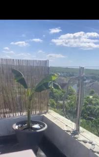 Cosy Beach Getaway - Saltdean - 8