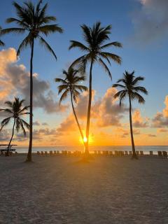Exclusive brand new 3BR condo at Cap Cana - Punta Cana - 8
