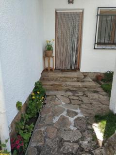 La lechuza blanca - 6