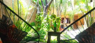 Hotel Barrio Latino - Playa del Carmen - 4