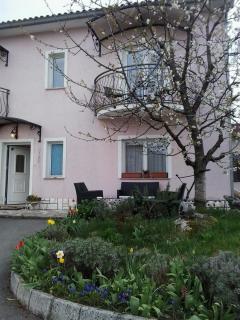Guest House Surina - 9
