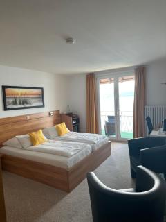 Hotel Seegarten - Überlingen - 6