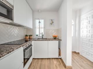 Fantastic penthouse with roof terrace in the heart of Nerja - Nerja - 1
