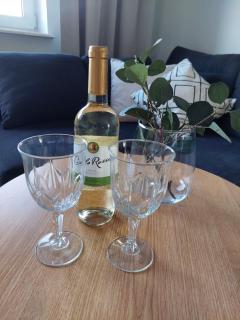 Apartament Pod Bocianami - Żelistrzewo - 8