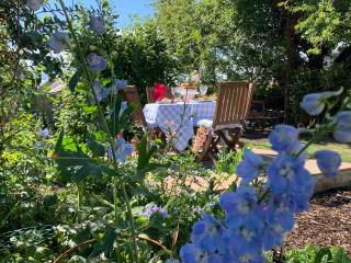 Atte Combe Cottage - Acomb - 0